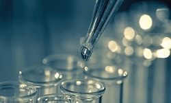 Diabetes : Research Photo