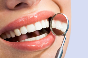 Oral microbiology Photo
