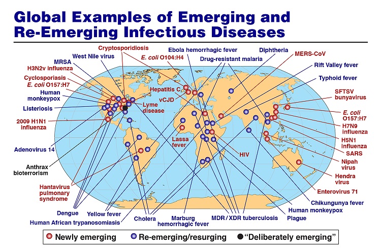 Emerging illness and infectious Diseases | Amsterdam | Netherlands