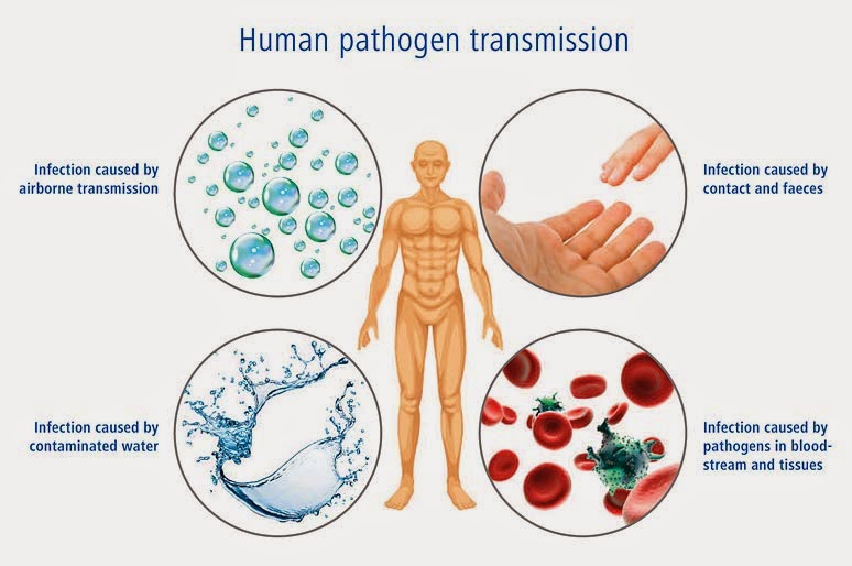 infectious-diseases-amsterdam-netherlands-2018-europe-usa