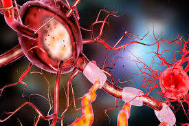 Neuro- Toxicology  Photo