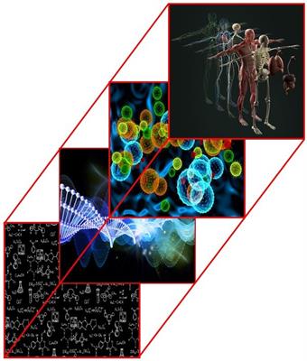 Emerging Methods/Technologies of Biomaterials Photo