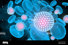 Nanotechnology and Drug carrier systems Photo