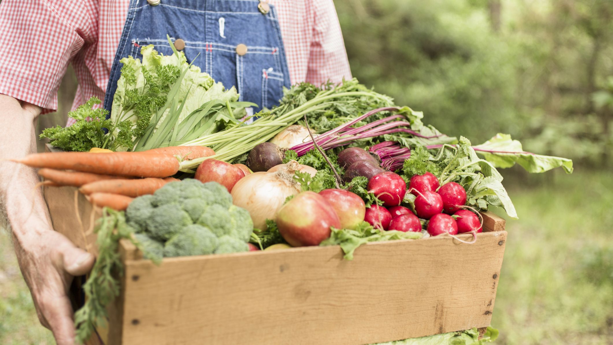 Organic farming - Consumer Health Photo