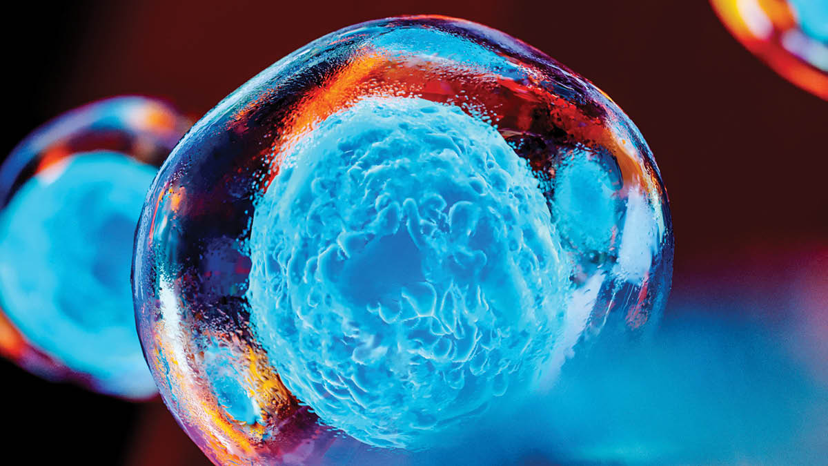 Embryonic Stem Cells as a Powerful Tool Photo