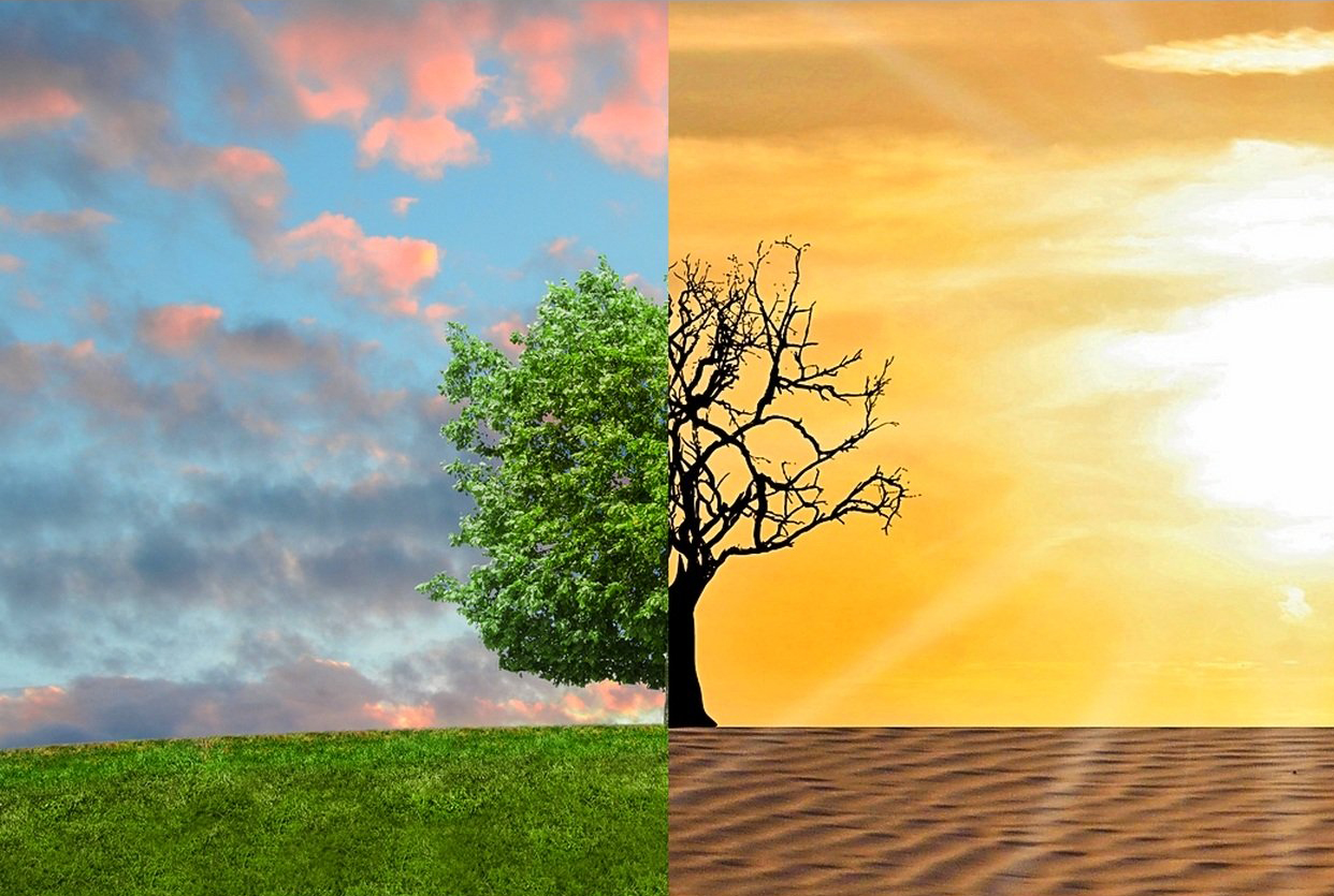 Climatic change and its effects Photo