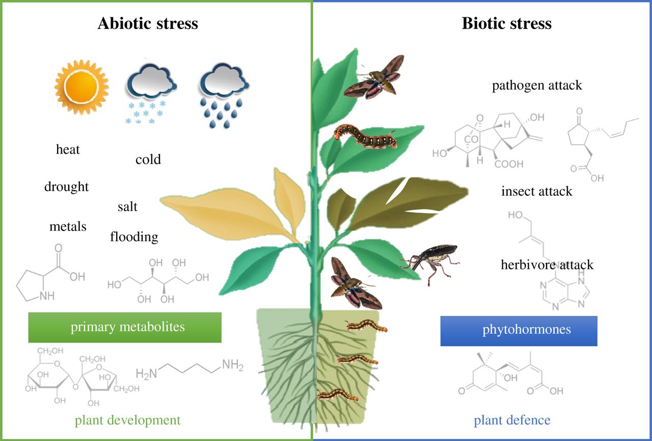 plant-metabolomics-and-environmental-metabolomics-global-events-usa