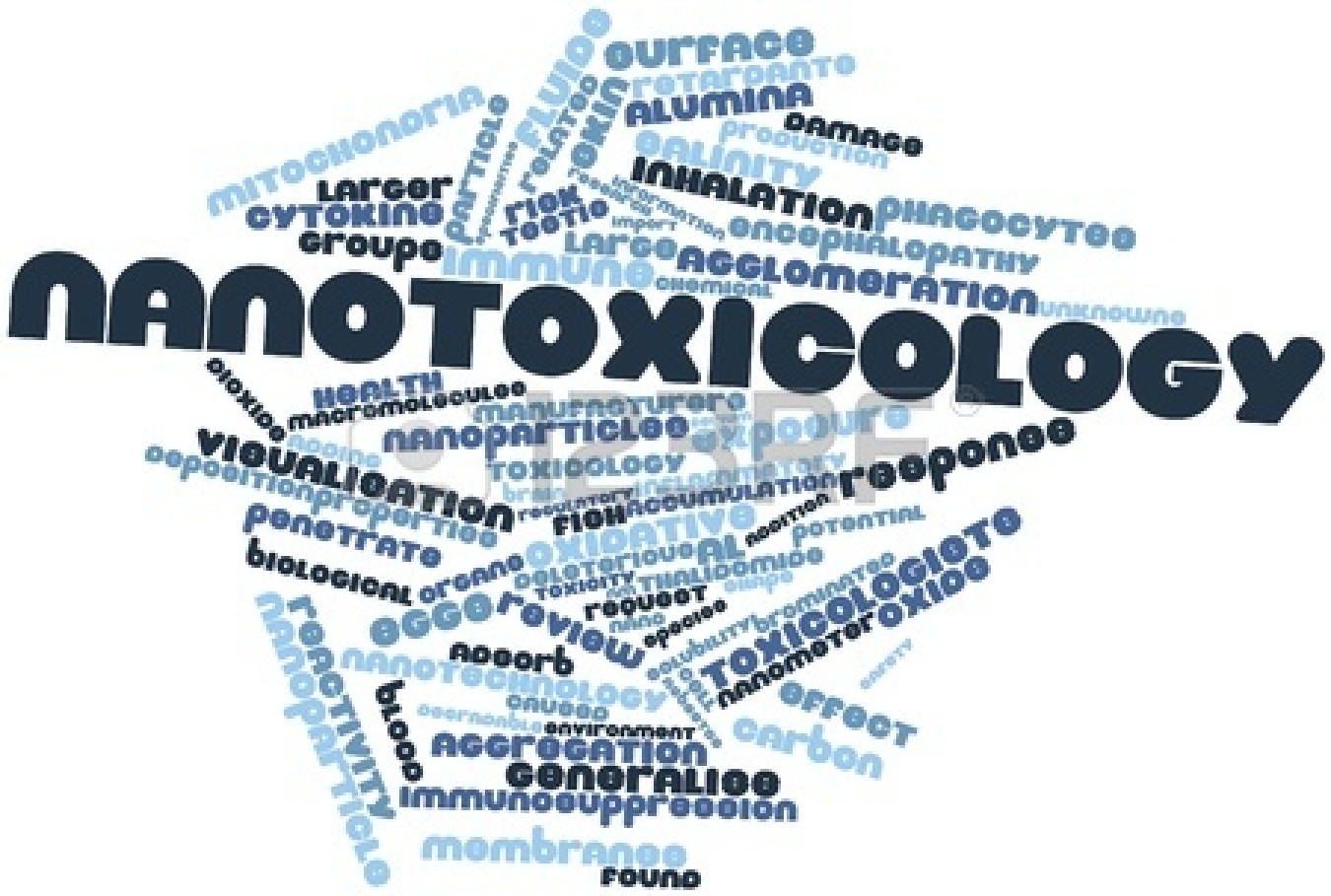Environmental toxicity and risks of Nanomaterials Photo