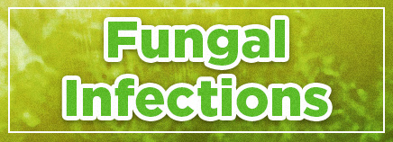 Fungal Infections Photo