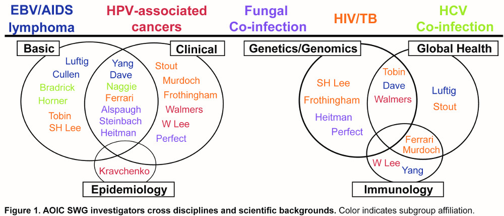 HIV related Infections Photo