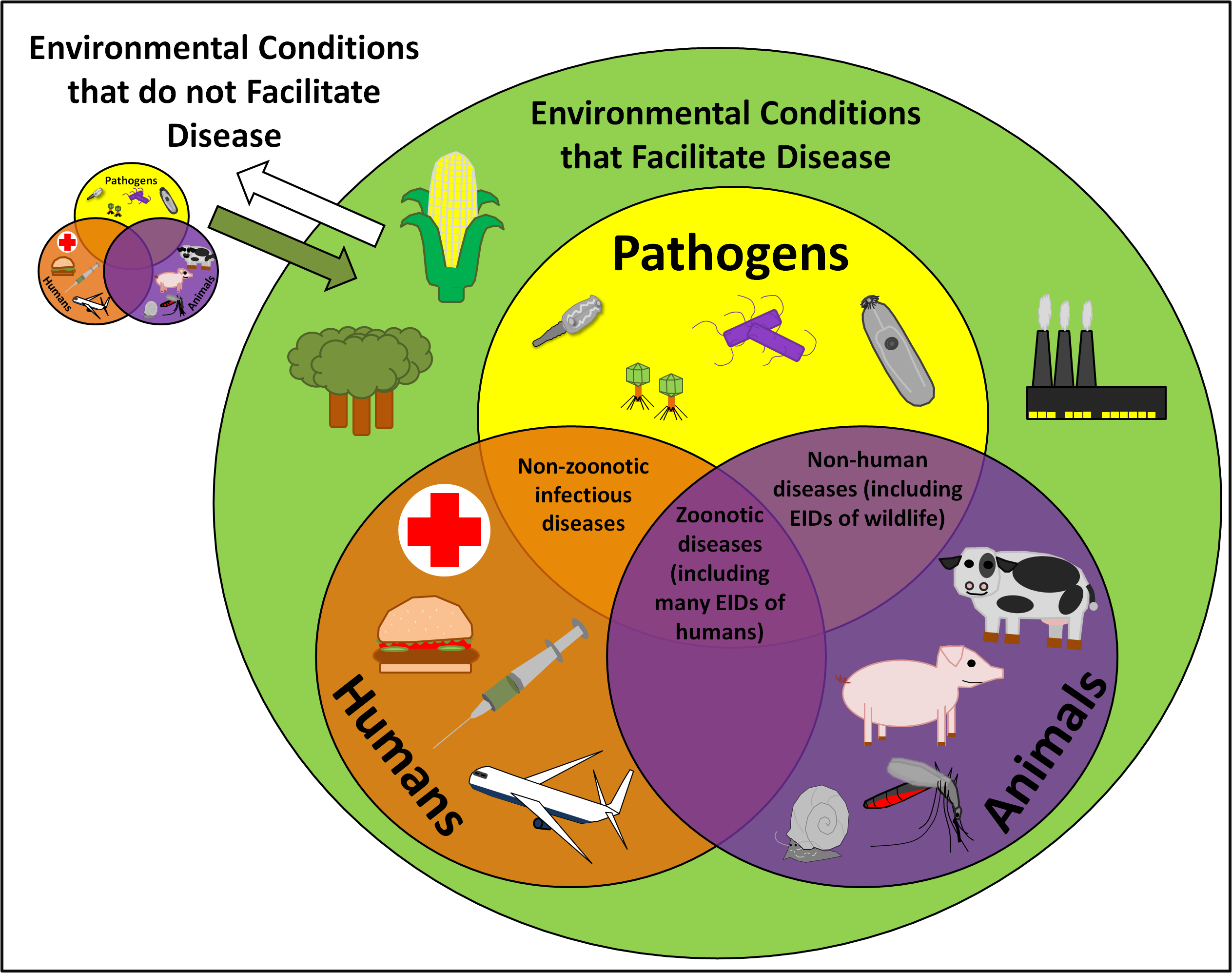 Emerging Infectious Disease Conference 2024 - Image to u