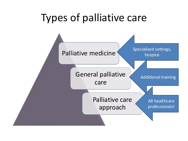 palliative education global events europe middle east asia