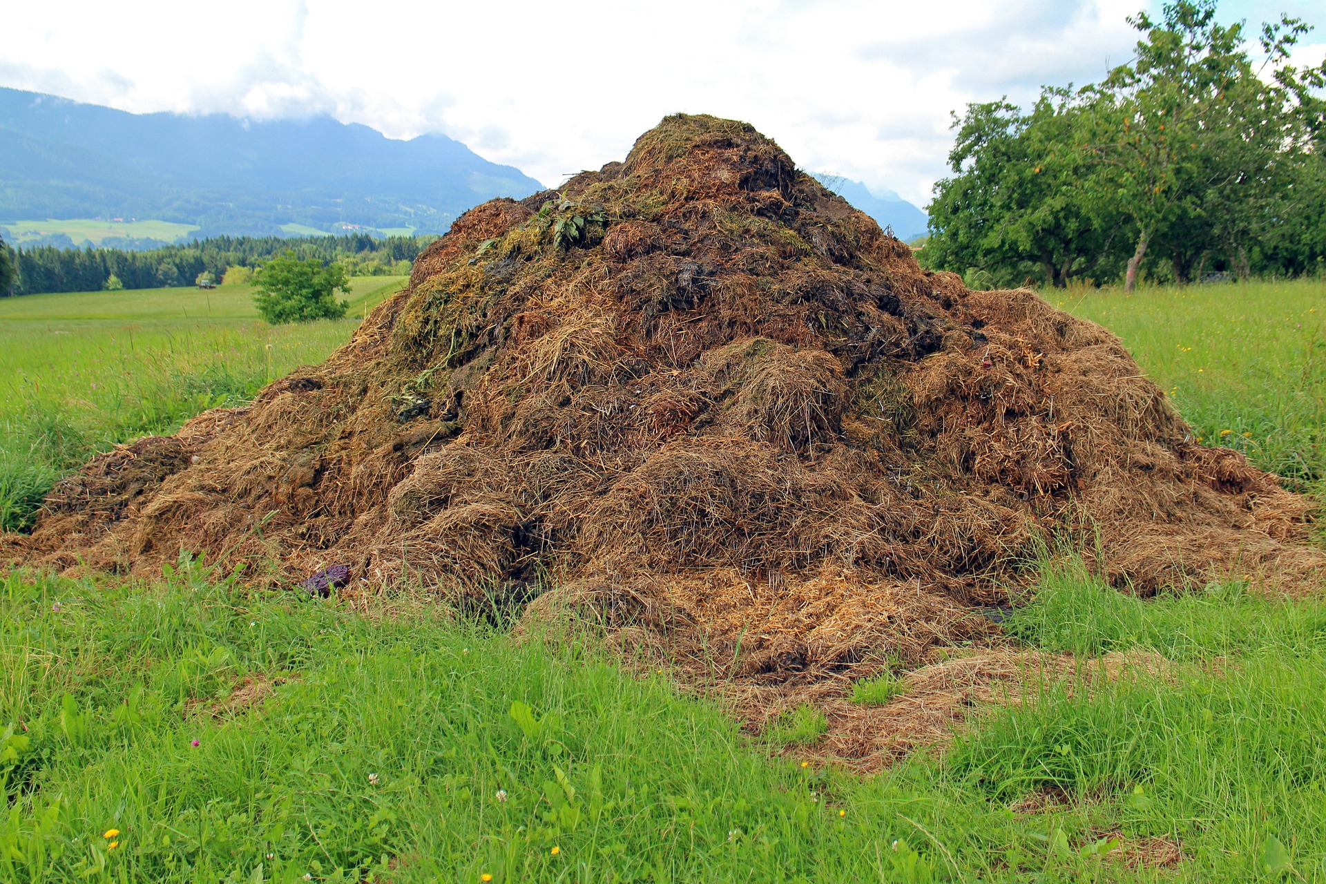Agricultural Waste Management Photo